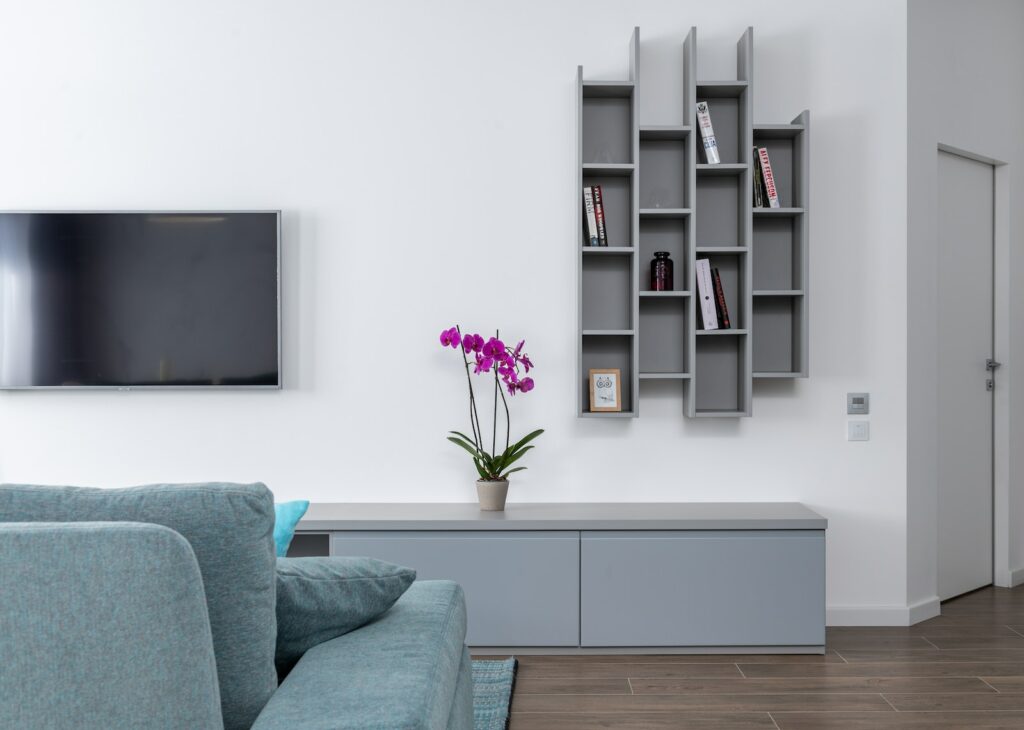 Living room with comfortable sofa and TV near bookshelves and potted blooming flower in modern apartment with minimalist interior design